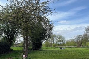 Alojamiento - Tumbleweed Cottage