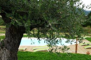 Alojamiento - Relais de l'Alsou