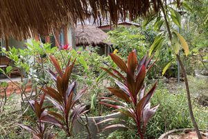 Alojamiento - Sanssouci Kep