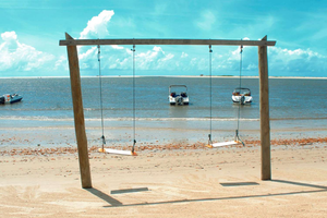 Actividad - Playa del Saco