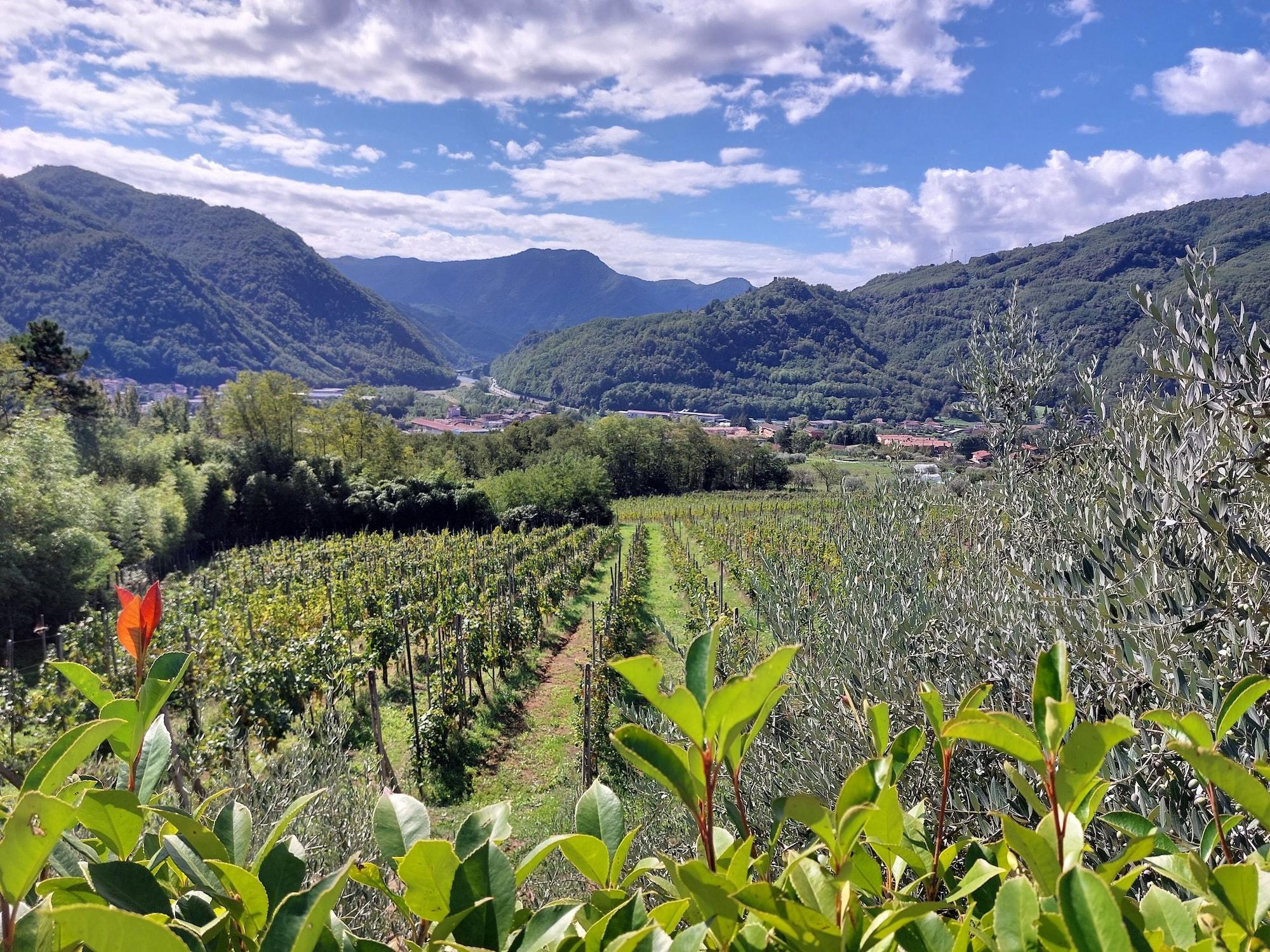 Varios Agriturismo Tenuta La Fratta