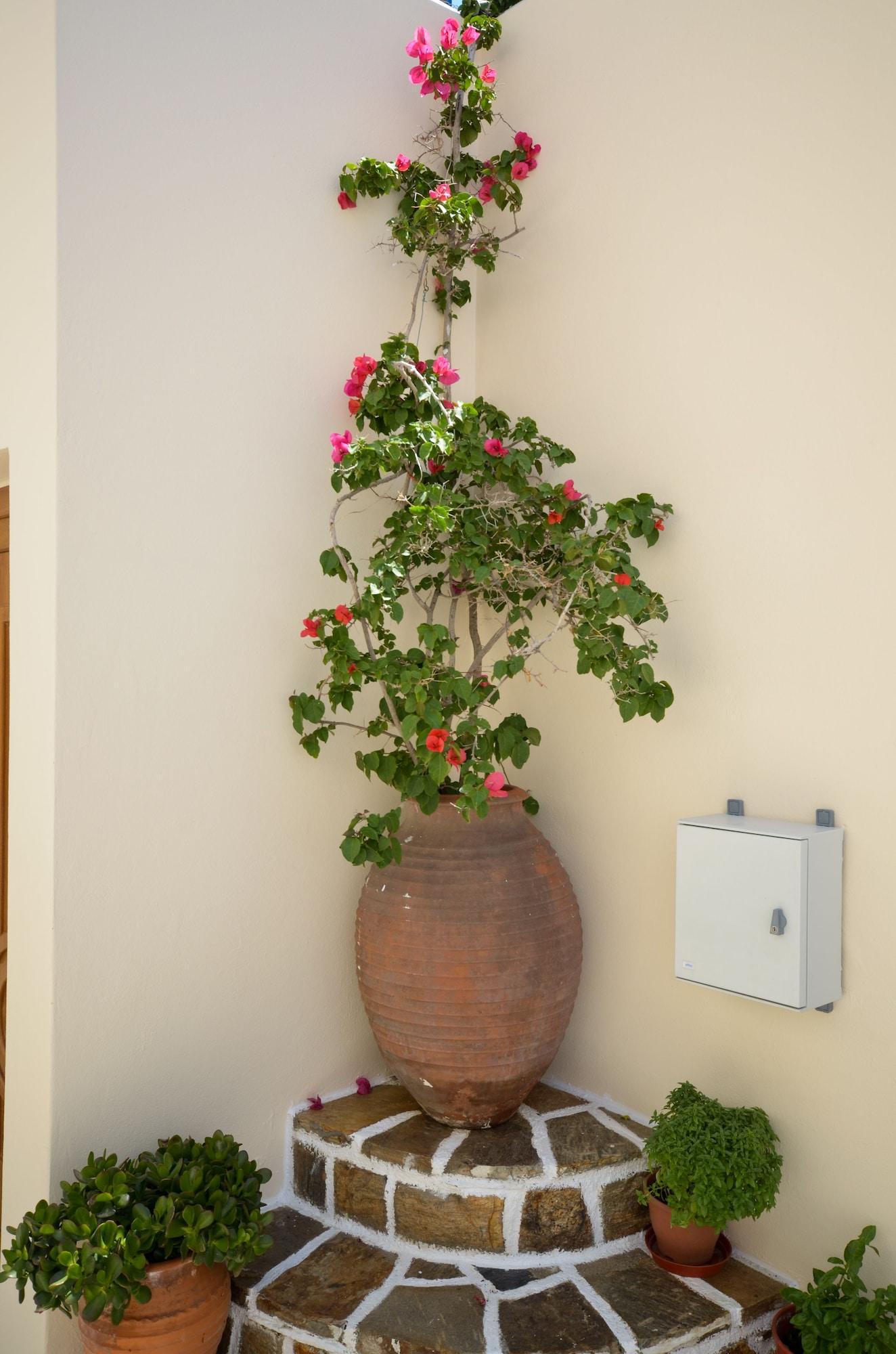 Vista Exterior Margo Studios