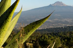 Actividad - Senderismo por el Parque Nacional La Malinche