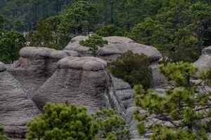 Actividad - Excursión al Parque Natural Mexiquillo