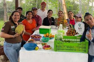Actividad - Tour gastronómico por Pucallpa
