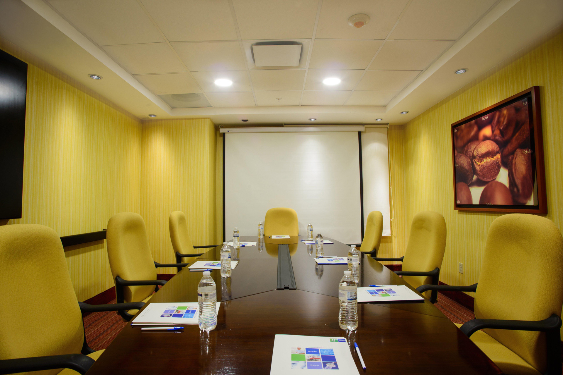 Centro de Negocios Holiday Inn Express Tapachula