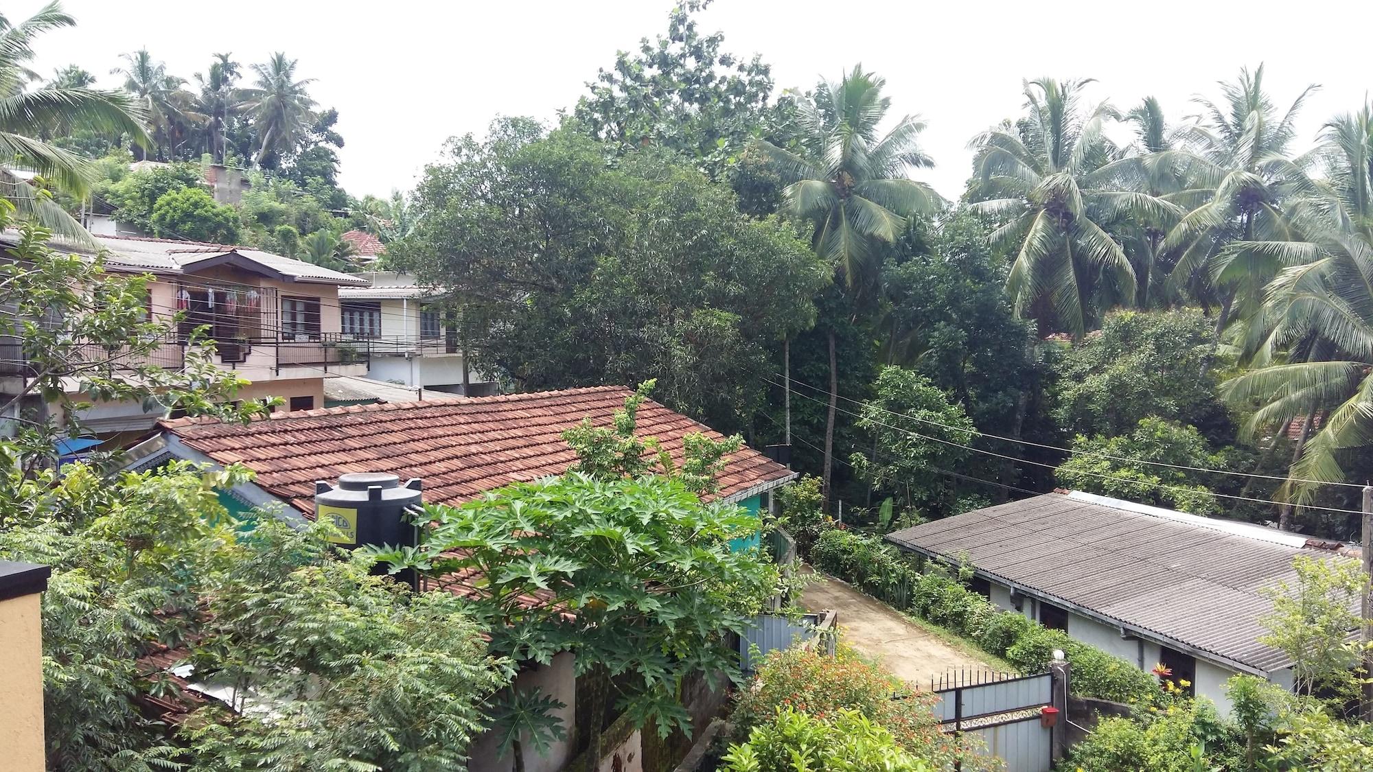 Vista Exterior Basilico Homestay