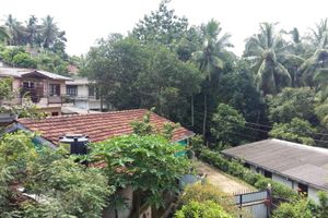 Alojamiento - Basilico Homestay