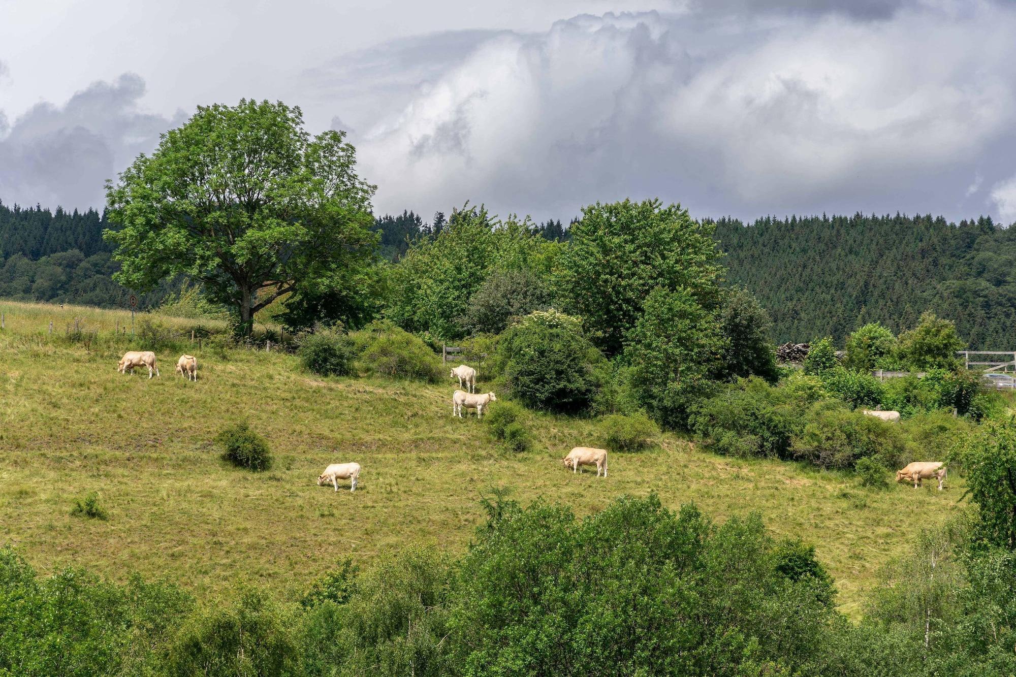 Equipamiento de Habitación B&B Sauerland TCF