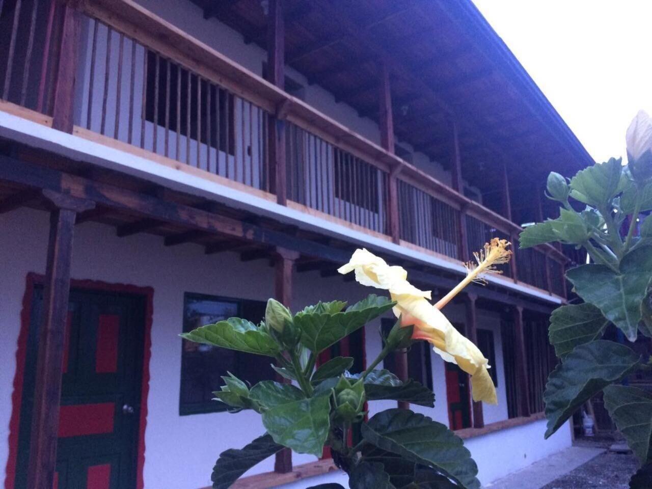 Vista Exterior Hotel Aroma Cafetera