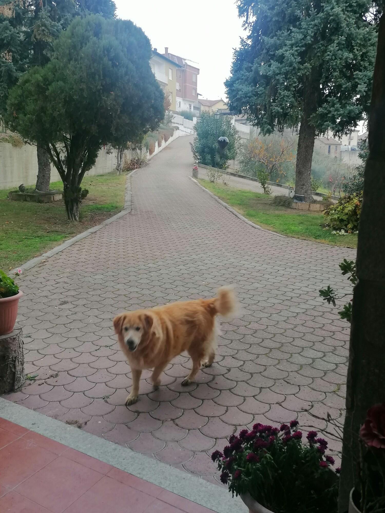 Vista Exterior La Casa nel Verde