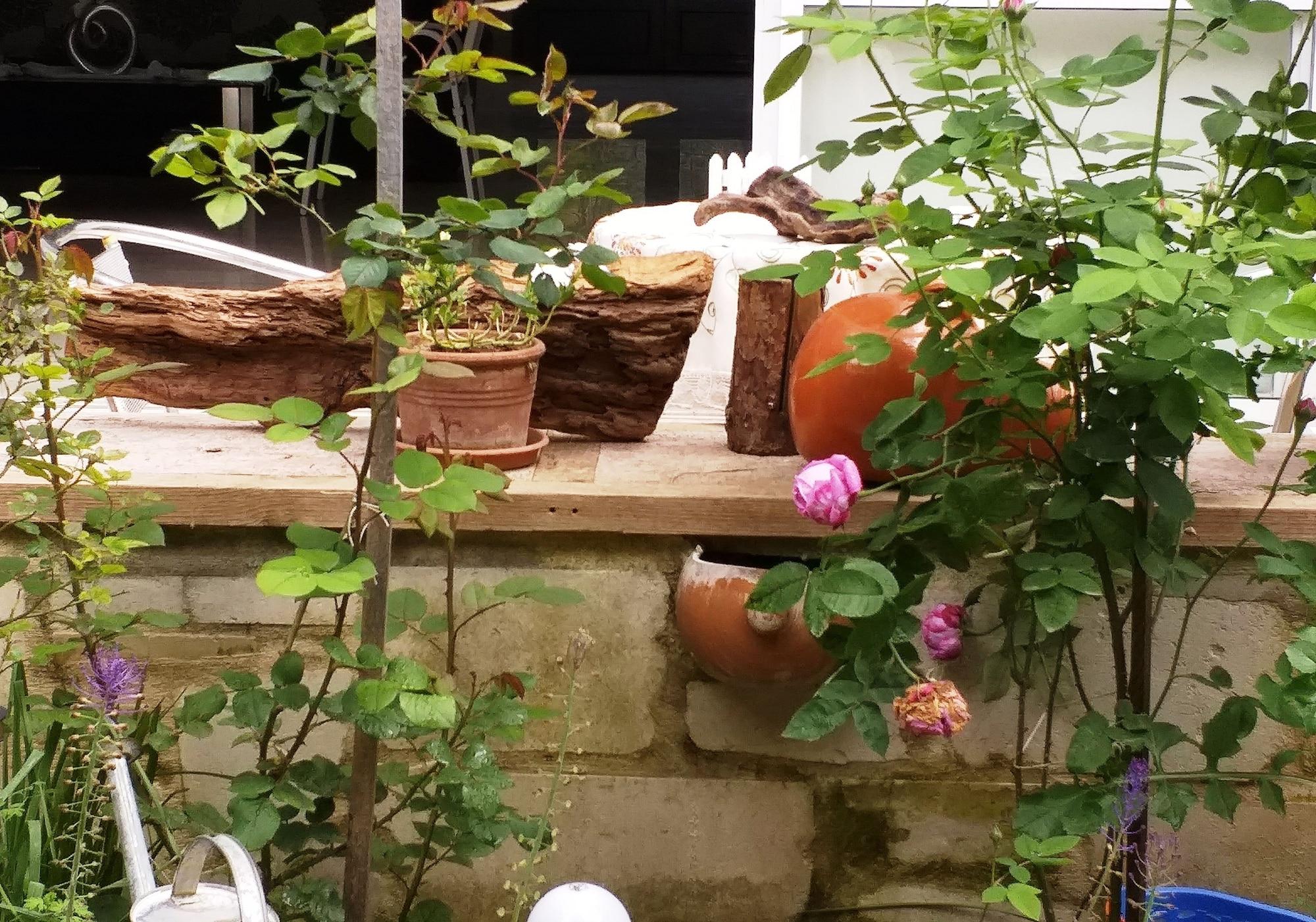 Vista Exterior Rethymno Blue Residence