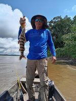 Alojamiento - Antares Amazon Lodge