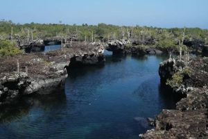 Actividad - Túneles de lava desde Isla Isabela - Tour de un día entero