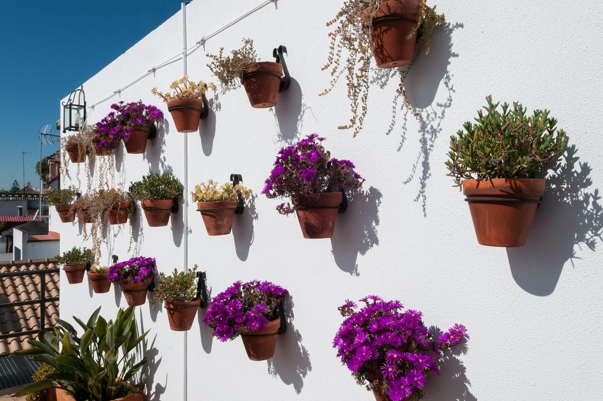 Varios Hotel Murillo