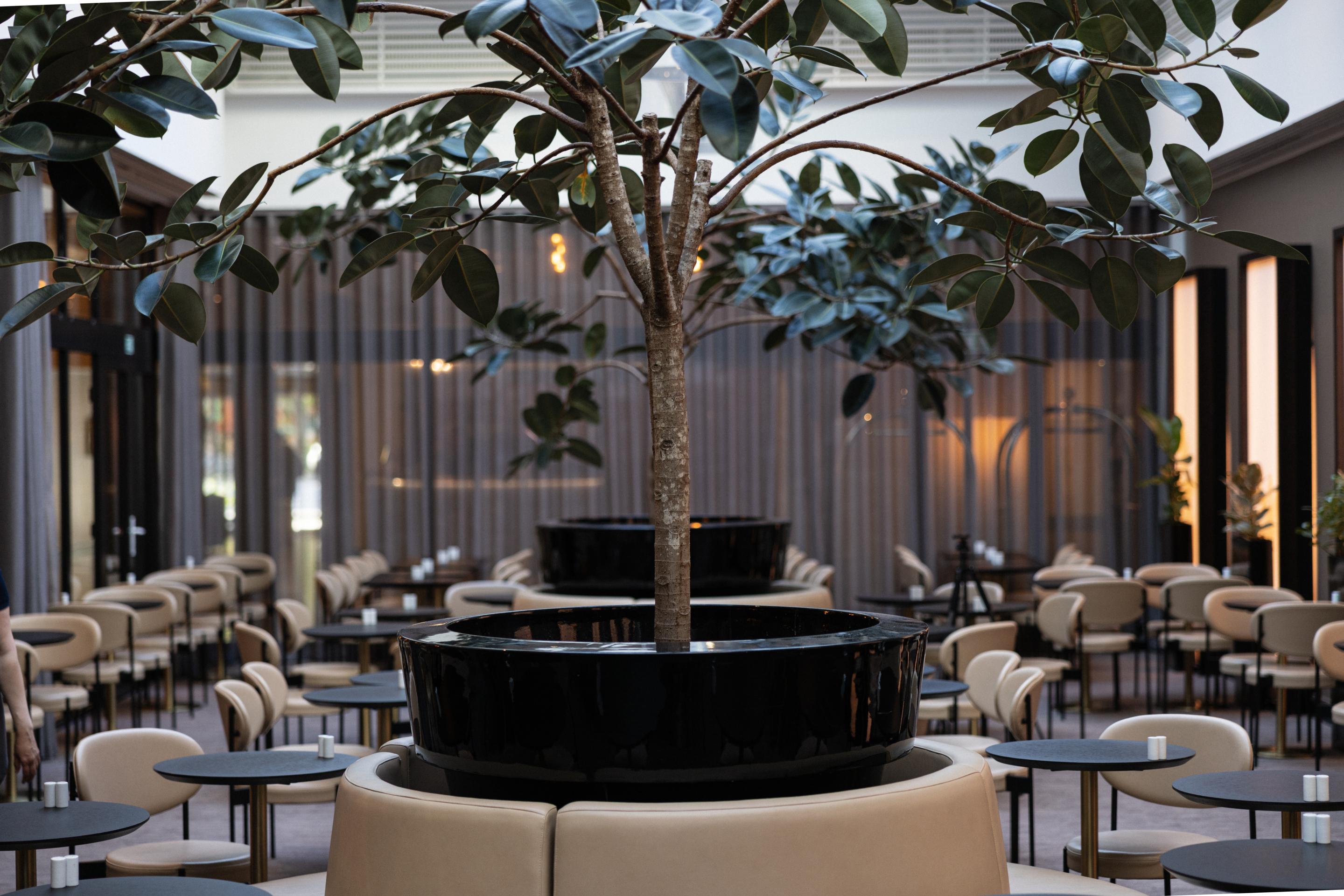 Restaurant Imperial Hotel