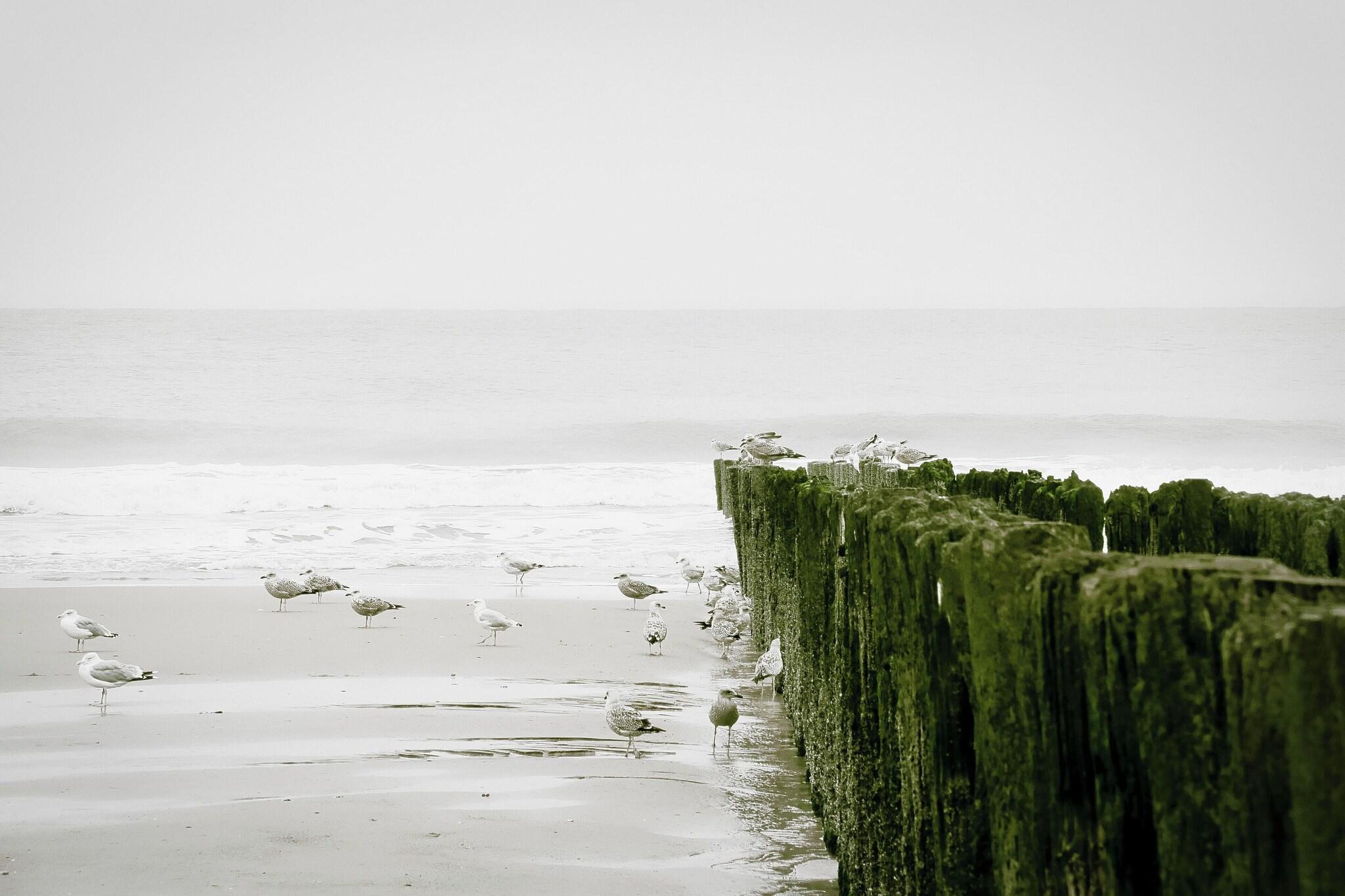 Instalaciones Recreativas Charl's