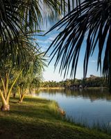 Actividad - Navegación en la Laguna Milagrosa: una experiencia idílica en la naturaleza
