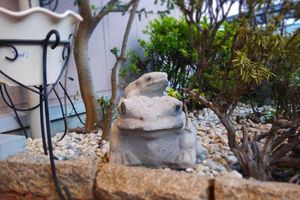 Alojamiento - Hotel Kuki