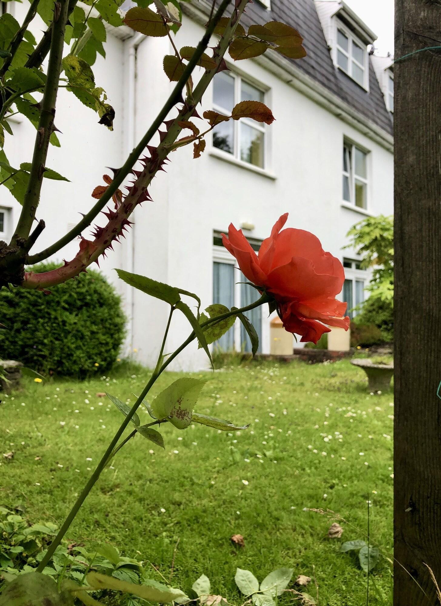 Varios Belvedere Lodge