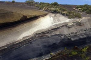 Actividad - Excursión al Teide con traslado del sur