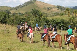 Actividad - Paseo a Caballo por Punta Cana 1 hora