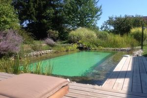 Alojamiento - Chambres D'hôtes Cœur de Sundgau