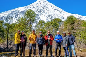 Actividad - Lagunas Andinas - Trekking entre Araucarias