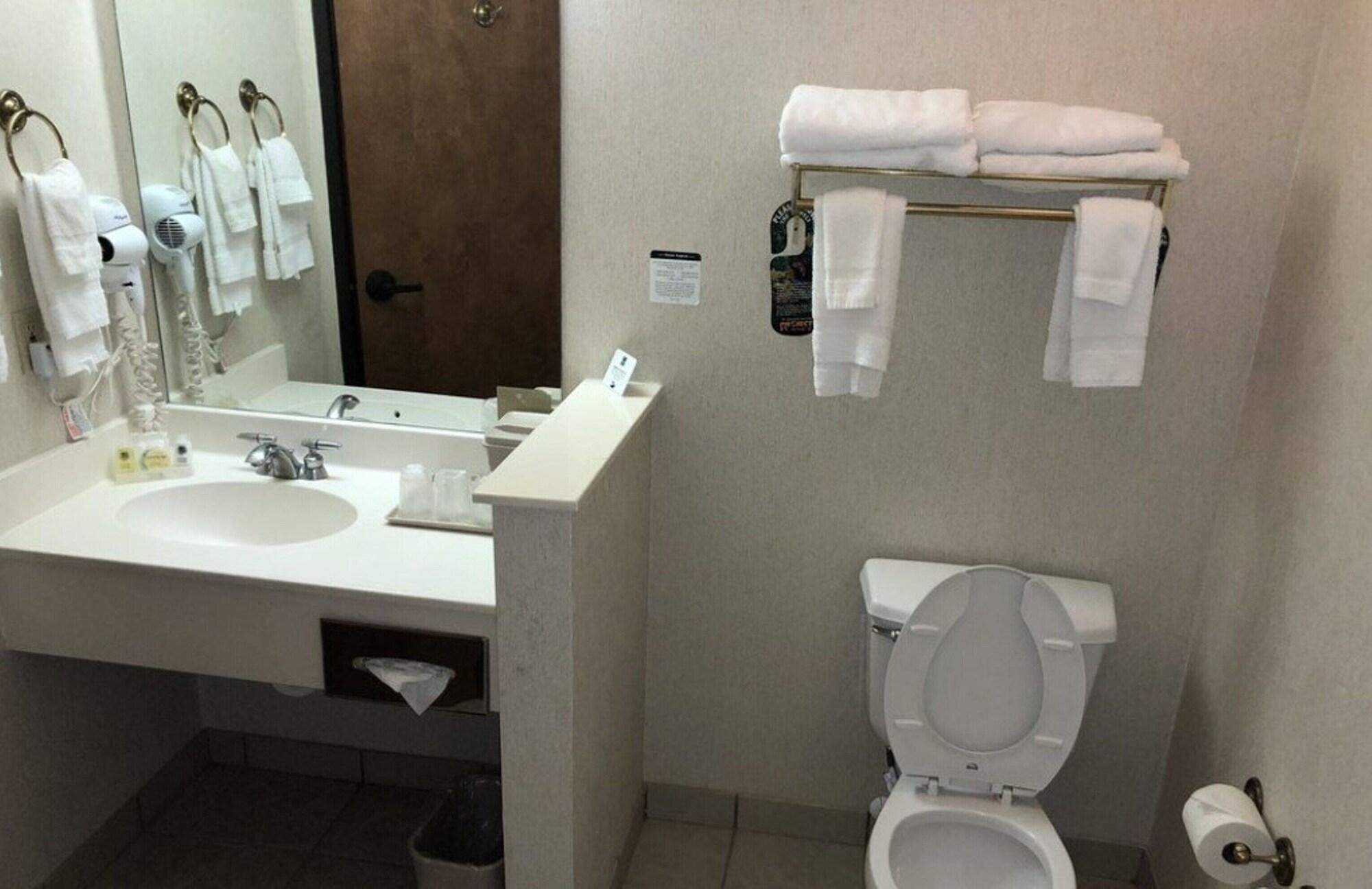 Equipamiento de Habitación Quality Inn & Suites Roanoke - Fort Worth North