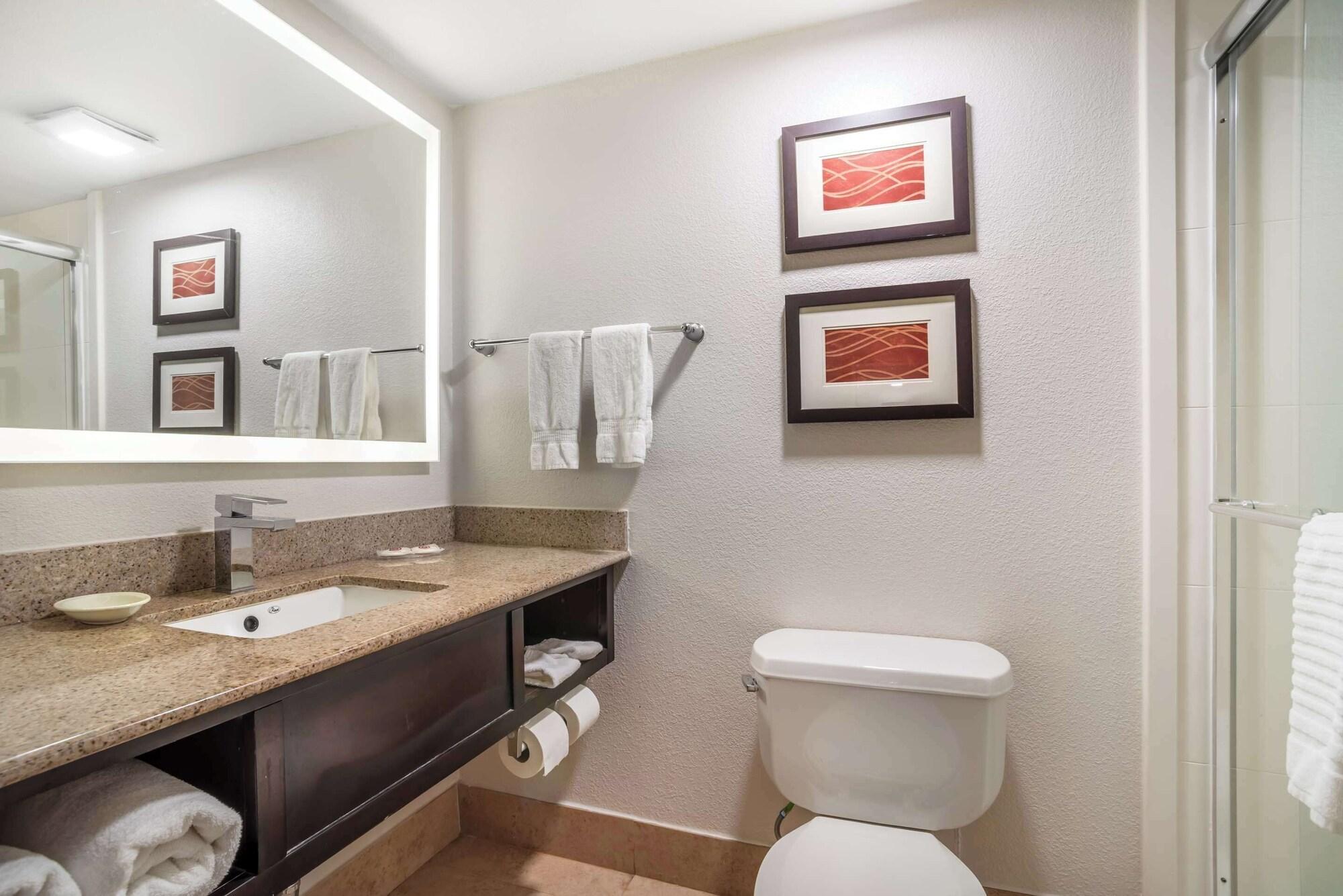 Habitación Comfort Inn & Suites Lake Norman