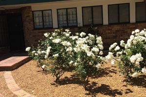 Alquiler Vacacional - Holiday Cottage, Sleeps 7, 5 beds, 4 bedrooms Private POOL, a summer requirement