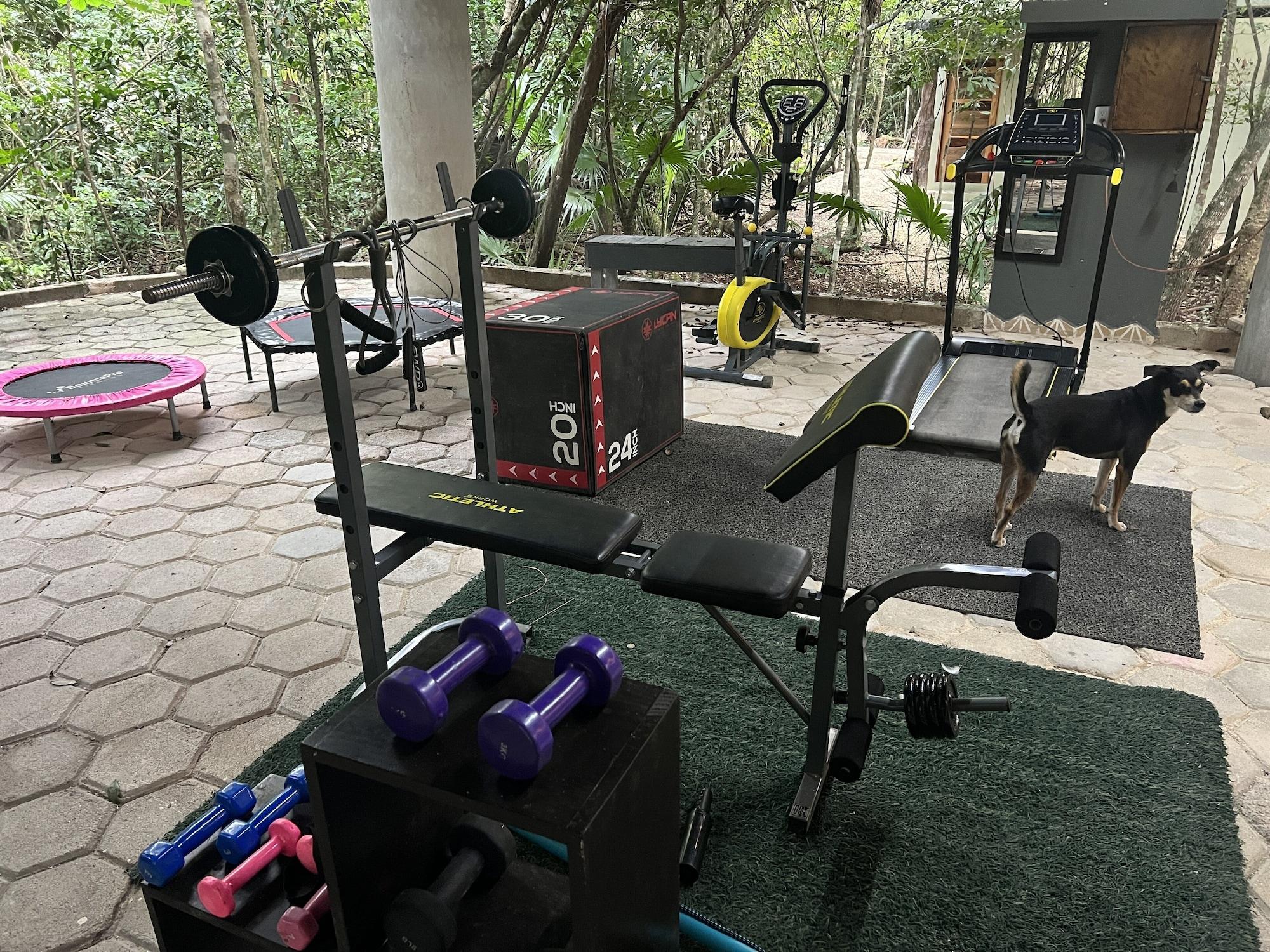 Gimnasio Hokhmah Heart Hotel
