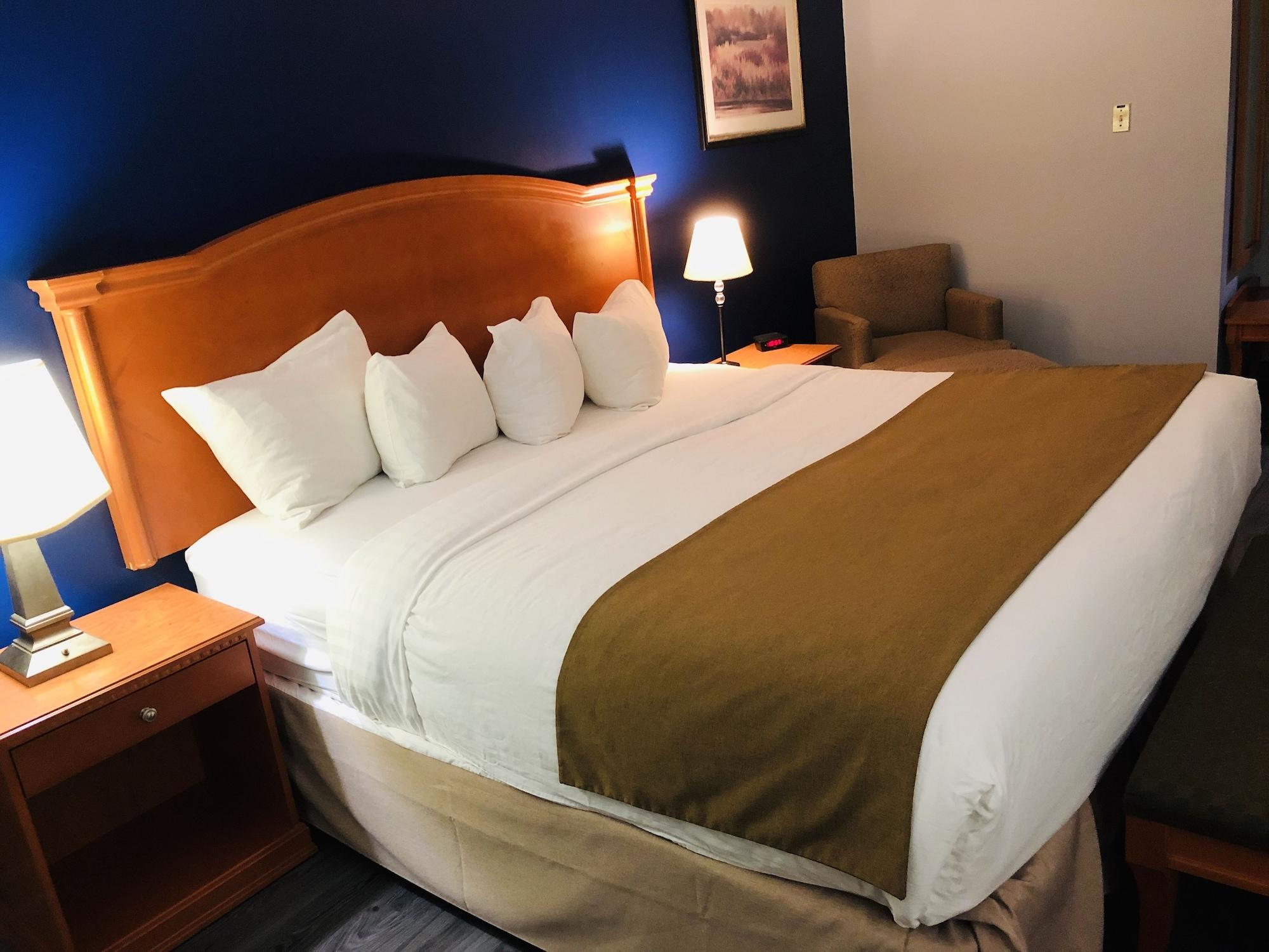 Habitación Hotel Northern Star