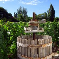 Alojamiento - Finca Adalgisa Wine Hotel