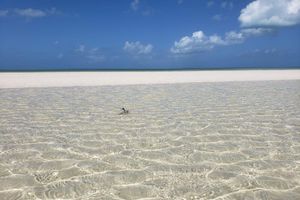 Hoteles en Holbox con Jacuzzi