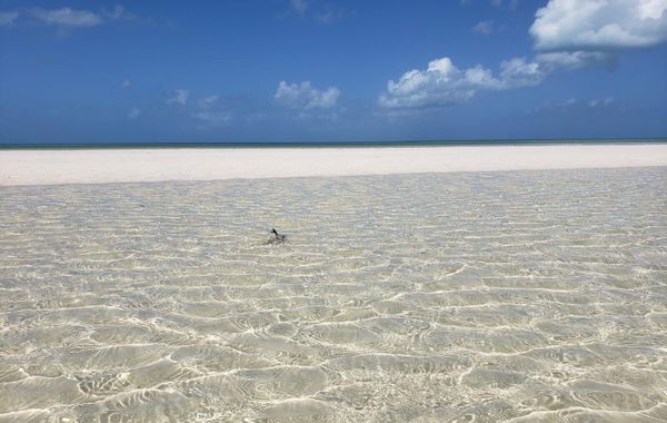 Casa Hridaya Hotel Boutique - Hoteles pet friendly en Holbox, México