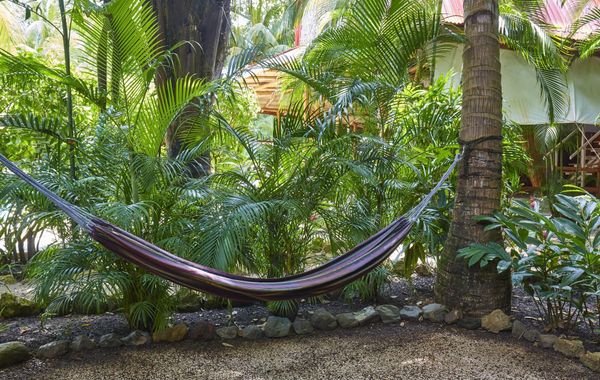 Living Hotel - Hoteles con traslado en Guanacaste, Costa Rica