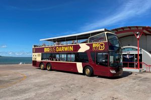 Actividad - Big Bus Darwin Hop-On Hop-Off Tour