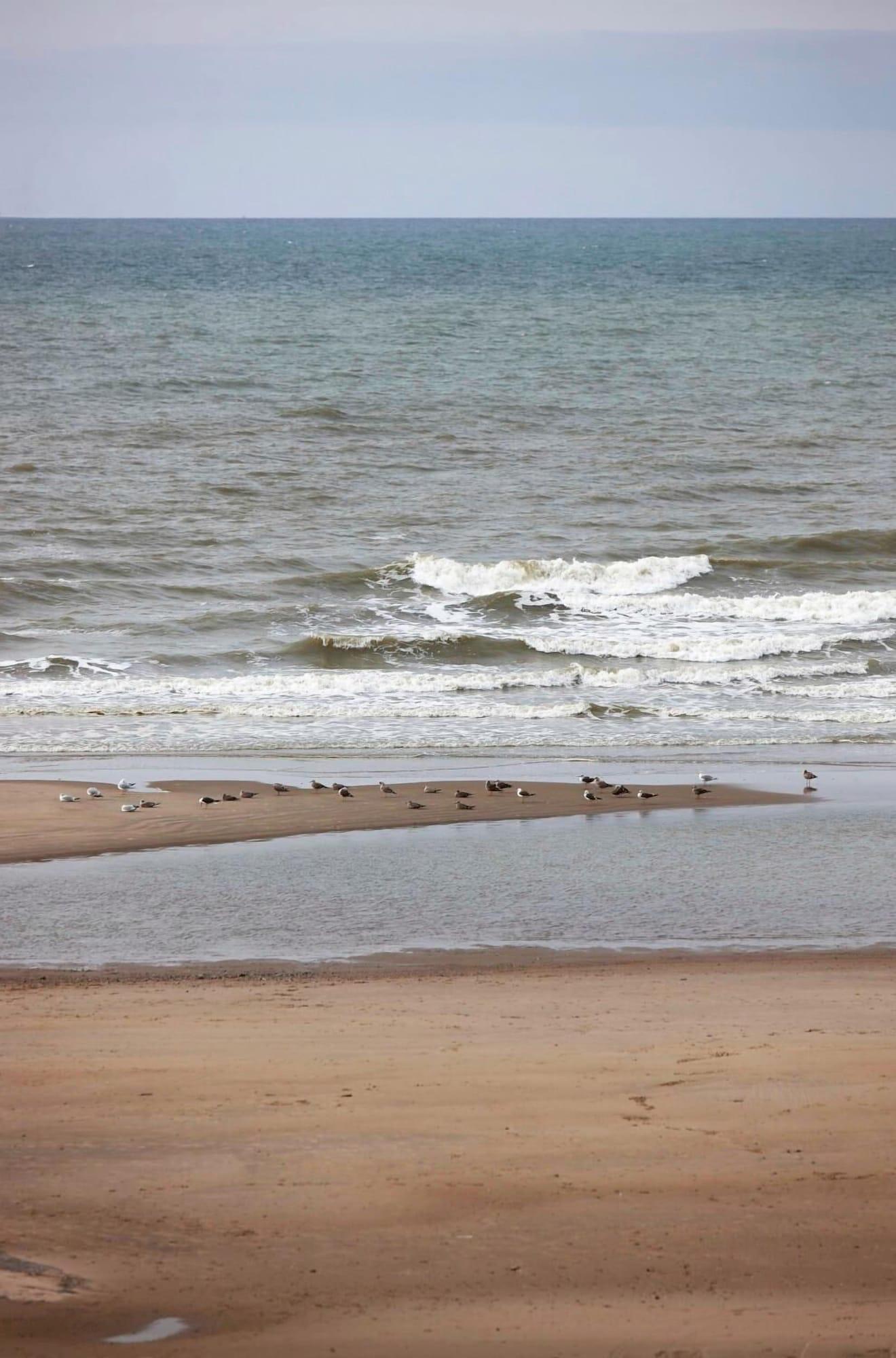 Playa Hotel Les Mouettes