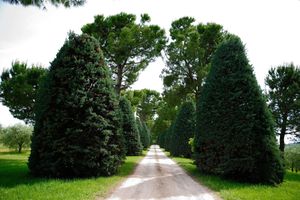 Alojamiento - Agriturismo al Colle