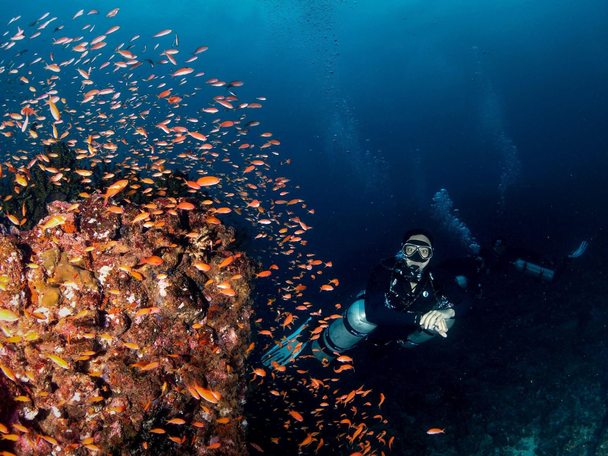 Varios The Pade Dive Resort Sabang