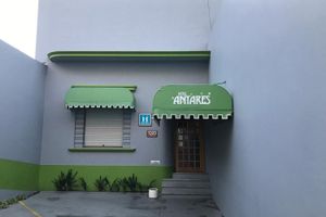Alojamiento - Hotel Antares