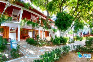 Alojamiento - Hotel Bahía Pinorroa