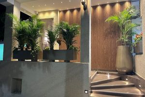 Alojamiento - ROYAL SUITES AMOLADOS