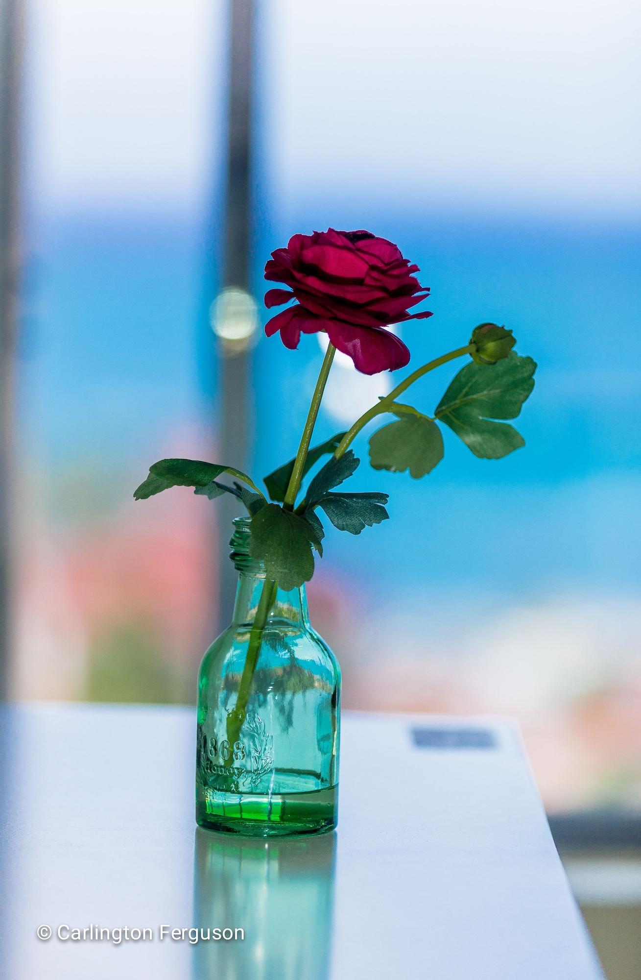 Varios Serenity By The Sea 211B - Turtle Towers