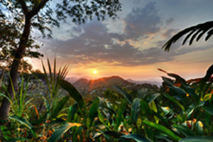 Actividad - Tour de chocolate y café en Minca