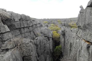 Actividad - Parque nacional de Ankarana