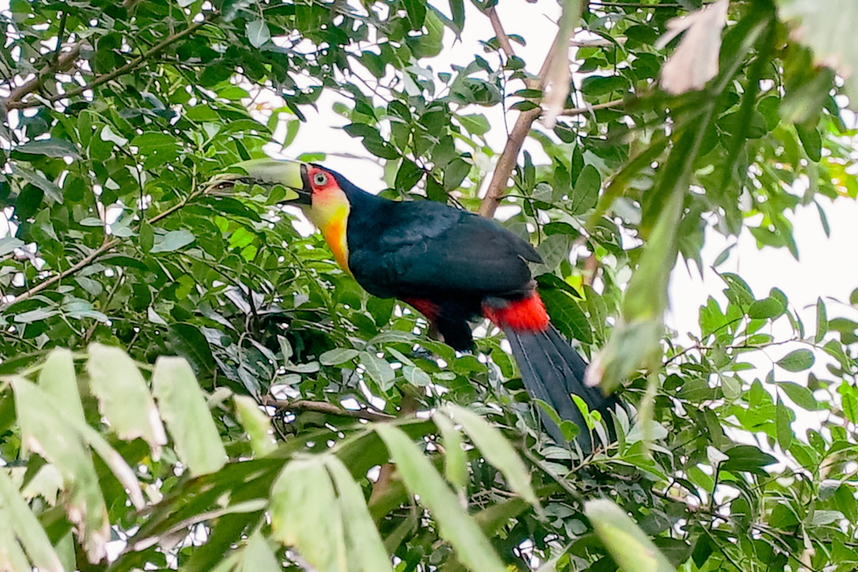 Varios Velinn Pousada Catamarã Brasil