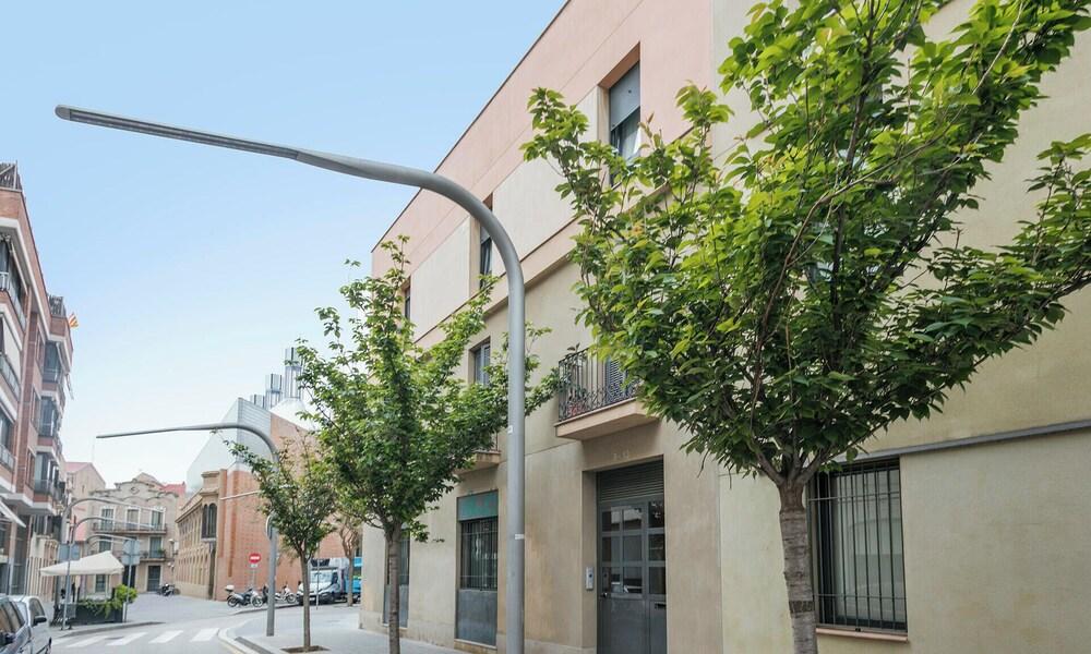 Vista Exterior Alcam Anglesola