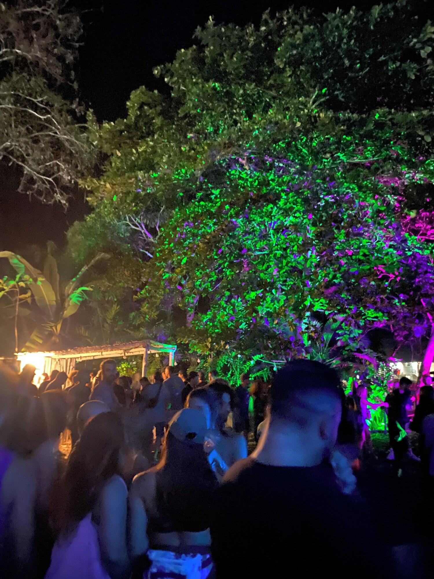 Equipamiento de Habitación Tropical Camas